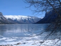 Picture 11