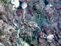 In Hot Spring