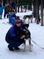 Huskys