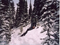 Picture 3
