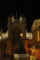 Abbey at Night