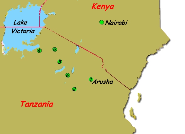 Tanzania Safari