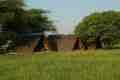 Tented Camp