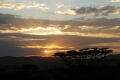 Serengeti