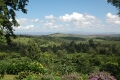 View from Gibbs Farm