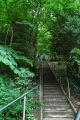 Jacobs Ladder