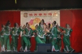 Picture 08
