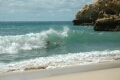 Carvoeiro