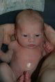 Picture 11