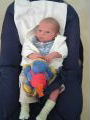 Picture 16