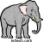 Safari
