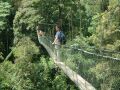 Arial Walkway