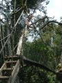 Arial Walkway