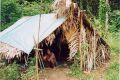 Villagers Hut