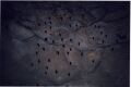 Bats in Our Cave