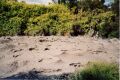 Hot mud