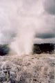 Geyser