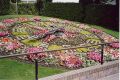 Christchurch Flowers