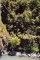 Seans Bungy 2