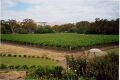 Barossa Valley
