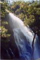McKenzie Falls