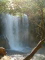 McKenzie Falls