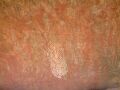 Cave Painting