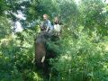 Elephant Ride