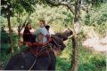 Elephant Ride