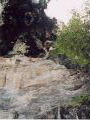Climbing