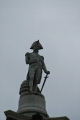 Nelson