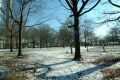 Battery Park