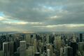 View from Top