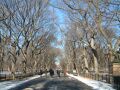 Central Park